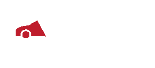alin white logo
